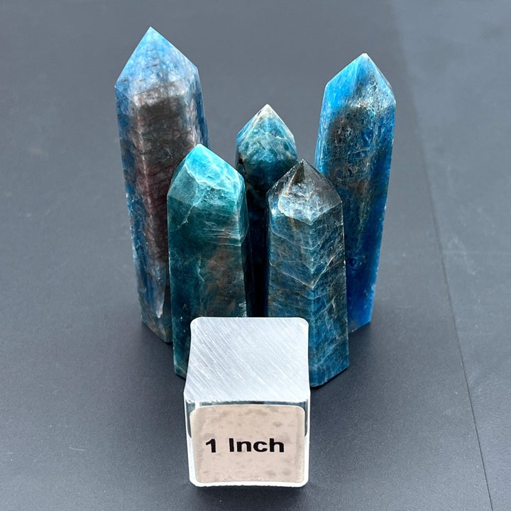 Blue Apatite Polished Standing TowerCrystal River Gems
