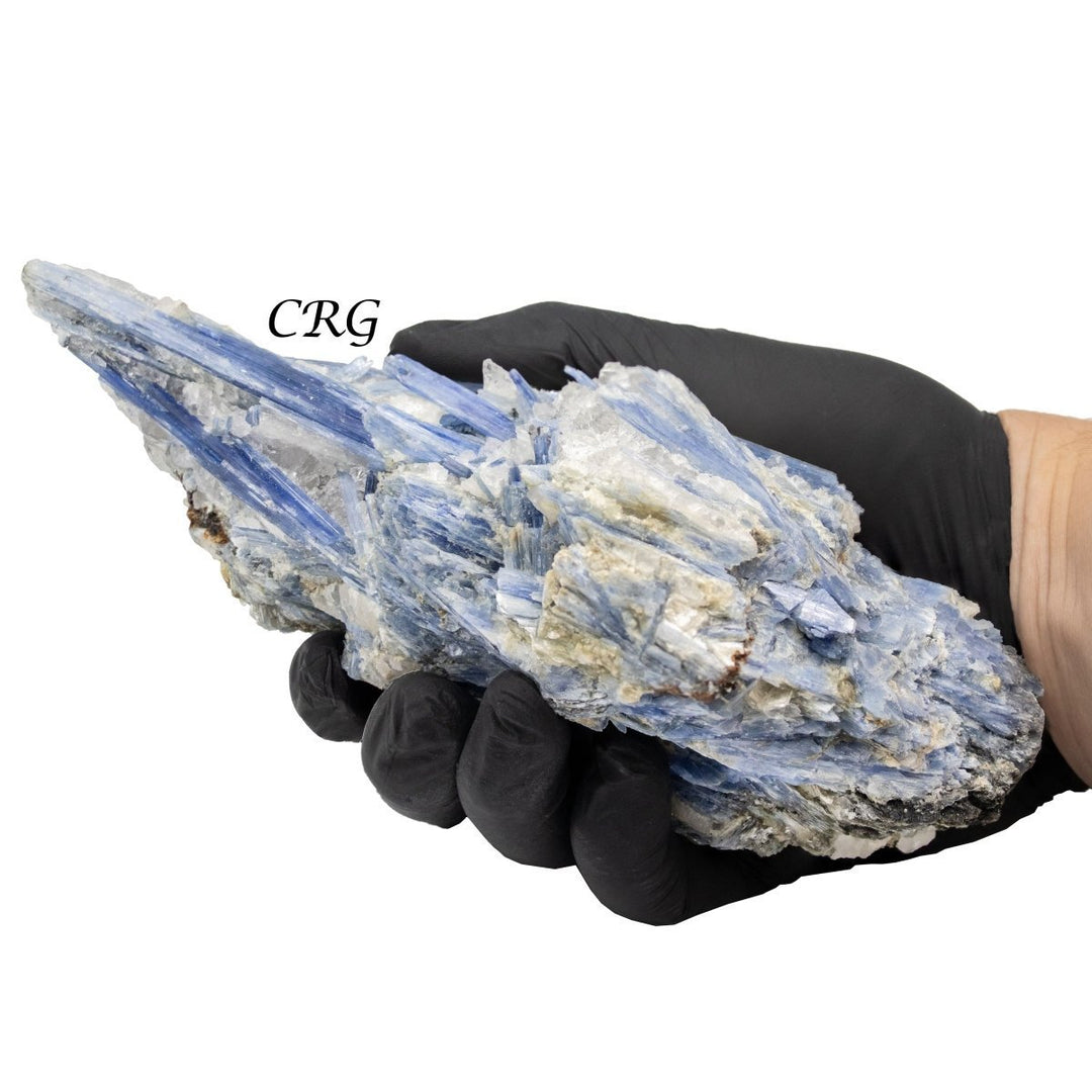 Blue Kyanite Blade Extra Quality Clusters (5 Kilograms) Size 3 to 7 Inches Bulk Wholesale Lot Crystal MineralsCrystal River Gems