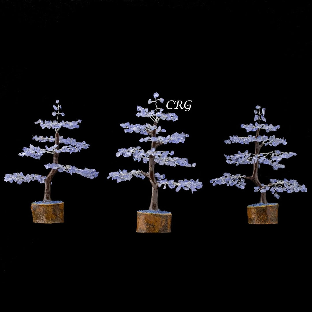 Blue Topaz 300 Chip Tree with Wood Base and Silver Wire (1 Piece) Size 9 Inches Crystal Gemstone Tree