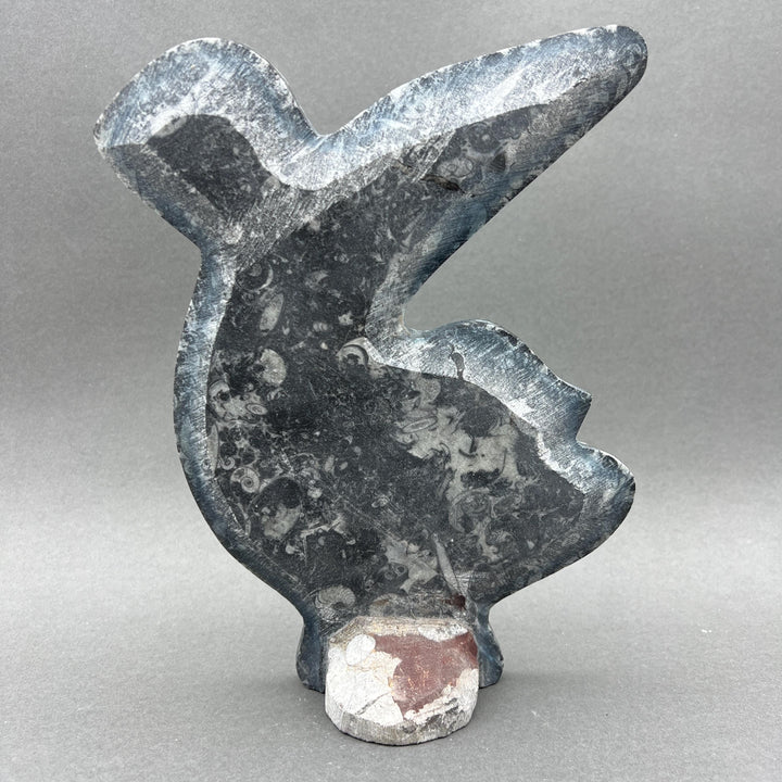 Orthoceras Fossil Standing Display Sculpture (1 Piece) Size 11 to 13 Inches Crystal Gemstone Home Decor
