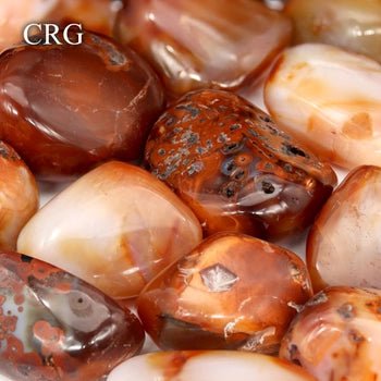 Carnelian Agate Tumbled Gallet Palm Stone (Large) (1.5 - 3 Inches) Wholesale Crystals MineralsCrystal River Gems