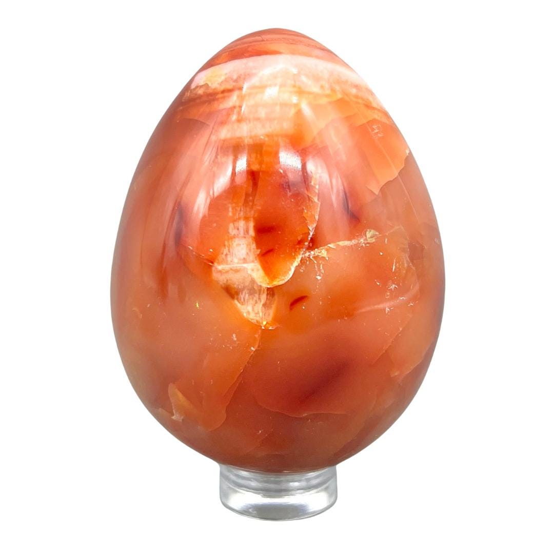 Carnelian Egg (1 Piece)Crystal River Gems