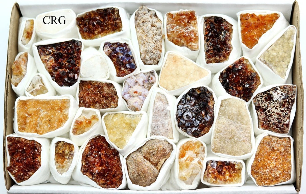 Citrine Multicolored Druzy Medium Flat (1 Flat) Size 1 to 2.5 Inches Bulk Wholesale Lot Crystal Gemstones
