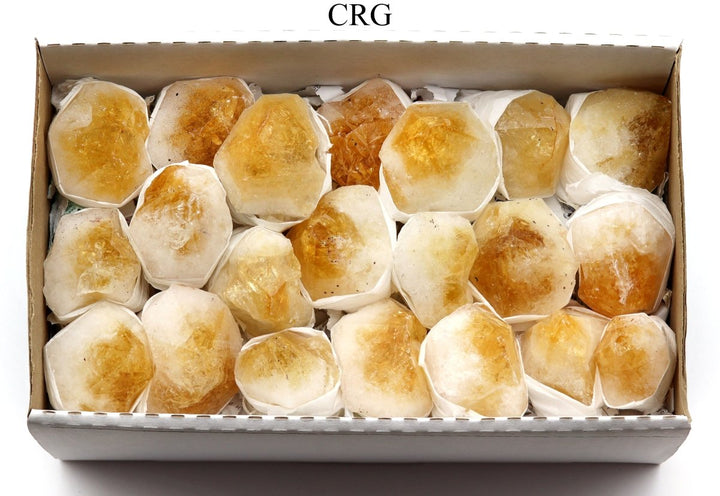 Citrine Points Large Extra Quality Medium Flat (1 Flat) Size 70 to 85 mm Bulk Wholesale Lot Crystal MineralsCrystal River Gems