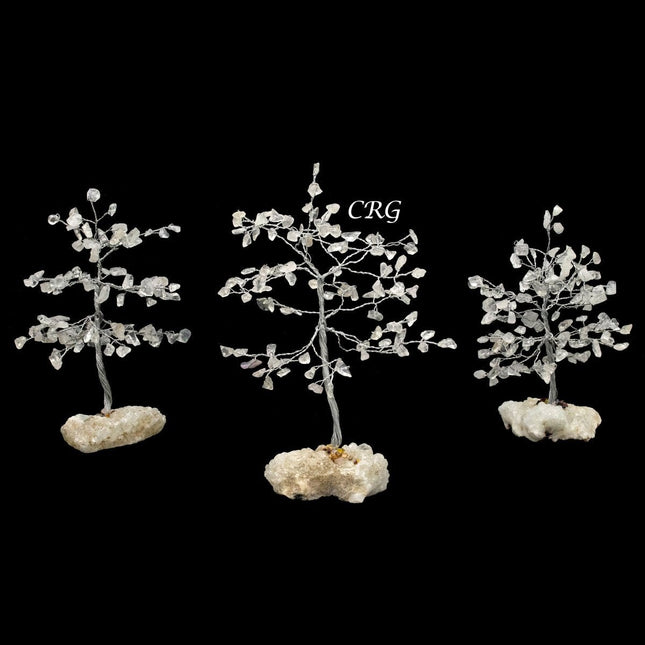 Clear Quartz 100 Chip Tree with Wood Base and Silver Wire (1 Piece) Size 9 Inches Crystal Gemstone Tree