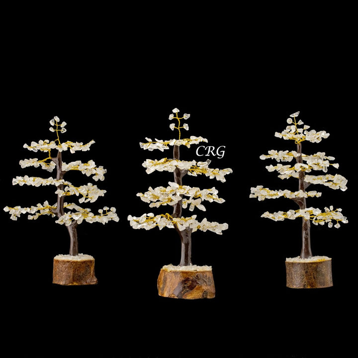 Clear Quartz 300 Chip Tree with Wood Base and Gold Wire (1 Piece) Size 9 Inches Crystal Gemstone TreeCrystal River Gems