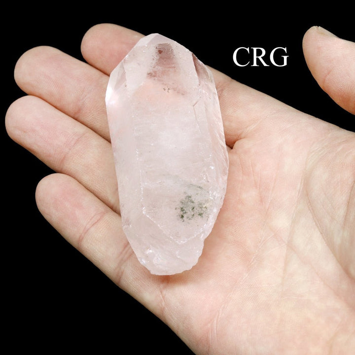 Clear Quartz Points Size (7 to 20 cm)Crystal River Gems