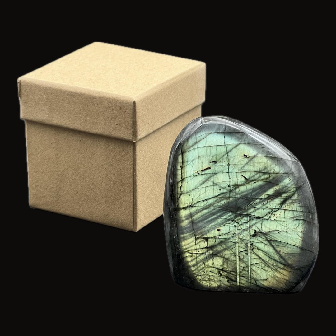 Colorful Labradorite High Flash Gift Boxed SpecialCrystal River Gems