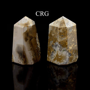 Conglomerate Jasper Point (1 Piece) Size 3 to 5 Inches 6-Sided Standing Crystal Gemstone Home Decor