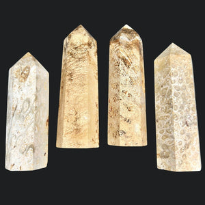 Coral Jade Points (1 Pound) (2.5 to 3.5 Inches)