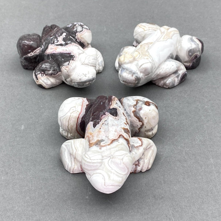 Crazy Lace Agate Frog Animal CarvingCrystal River Gems