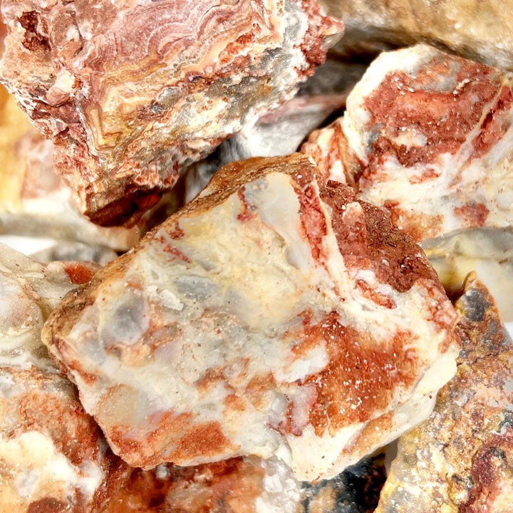 Crazy Lace Agate Rough 2 to 3 InchesCrystal River Gems