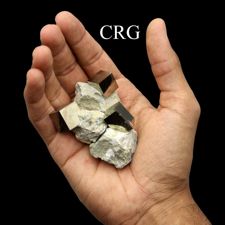 Cubic Pyrite on Matrix Rough (1 Piece) Size 30 to 40 mm Crystal MineralCrystal River Gems
