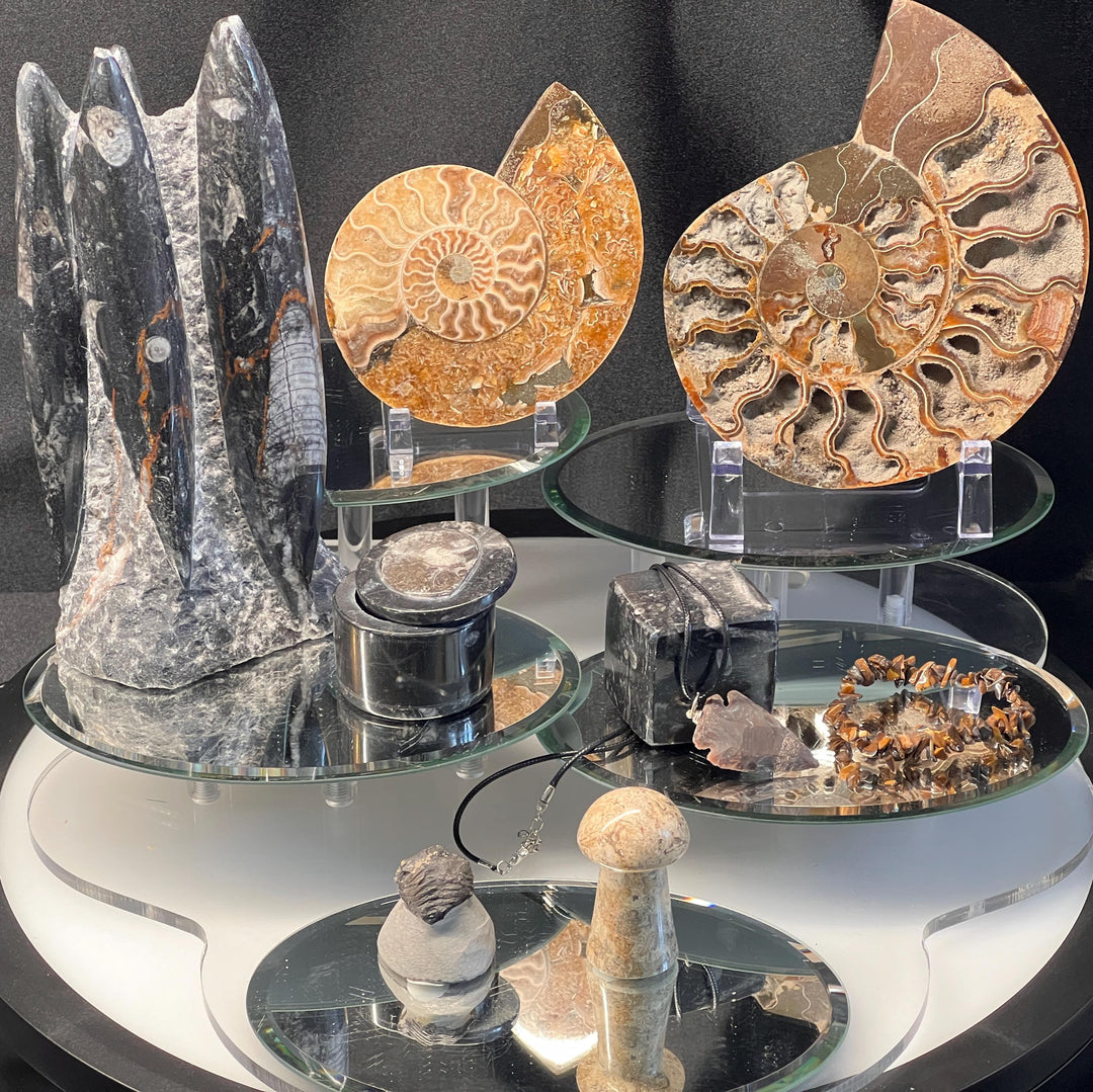 Fossils Crystal Bundle Lot (9 Pieces) Bulk Wholesale Gemstone