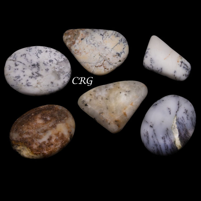 Dendritic Agate Cabochons (75 Grams) Mixed Sizes Bulk Wholesale Lot Crystal Minerals