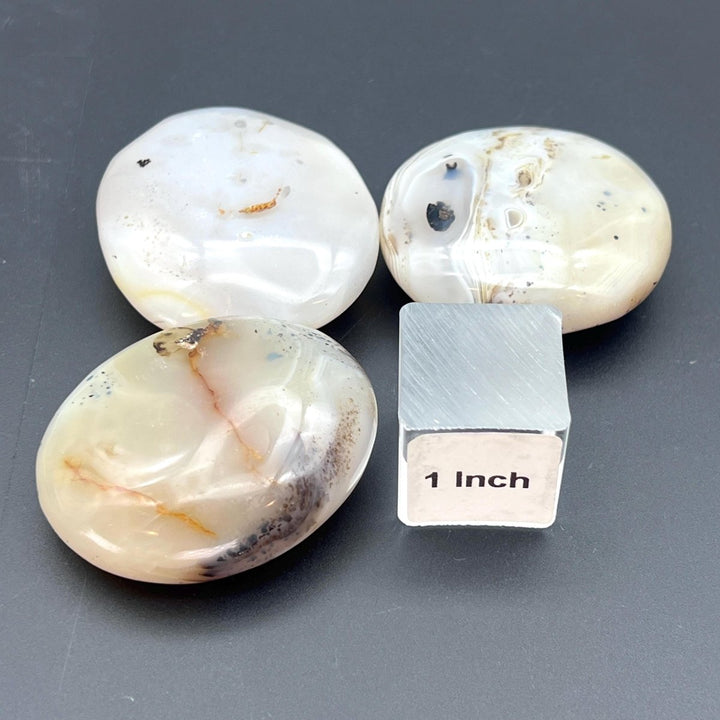 Dendritic Agate Polished Palm StoneCrystal River Gems