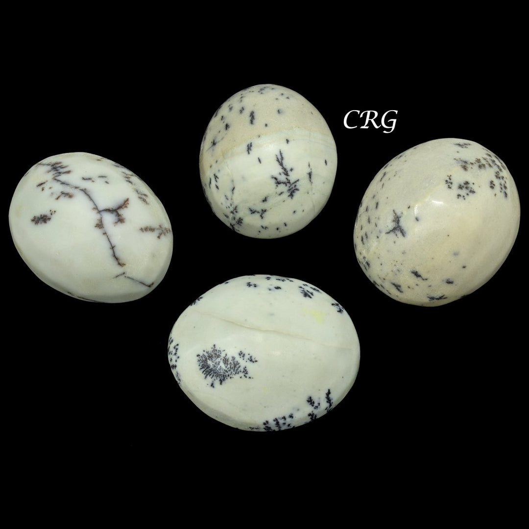 Dendritic Palm Stone (1 Pound) Size 1.5 to 2.5 Inches Crystal Pocket Worry Stones