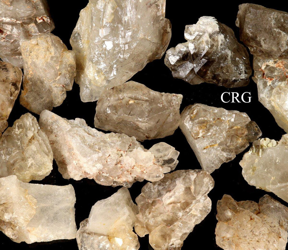 Elestial Alligator Included Quartz (1 to 3 Inches)Crystal River Gems