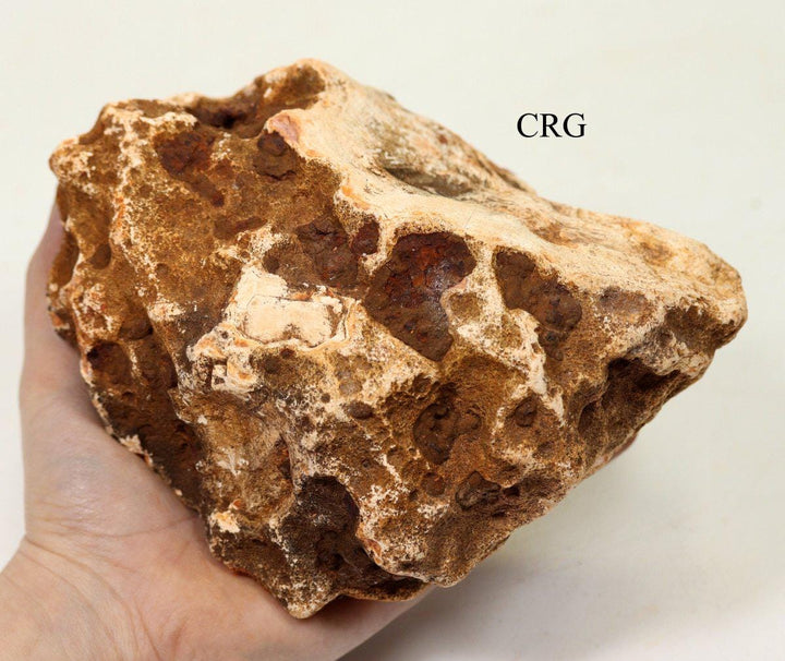 Extra Large Carnelian Rough Madagascar (1 Piece)Crystal River Gems