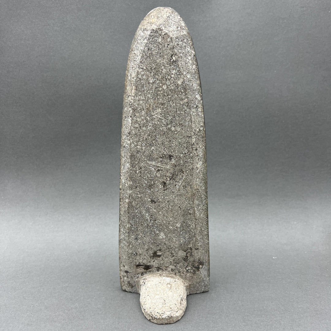 Tall Orthoceras Fossil Standing Display Sculpture (1 Piece) Size 11 to 13 Inches Crystal Gemstone Home Decor