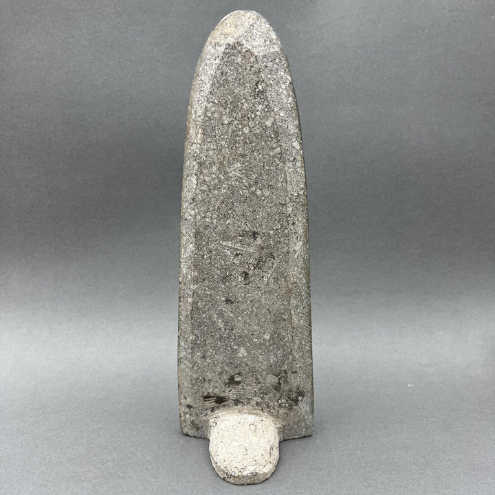Tall Orthoceras Fossil Standing Display Sculpture (1 Piece) Size 11 to 13 Inches Crystal Gemstone Home Decor