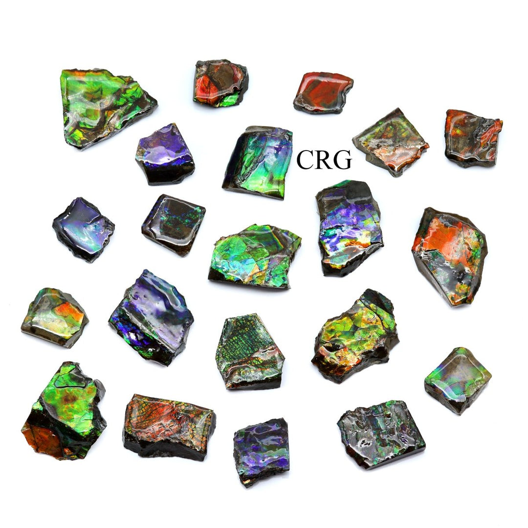 Fire Ammolite Fossil (Size 1 To 2 Inches) (1 Piece) Hand Carved Polished Gemstone DecorCrystal River Gems