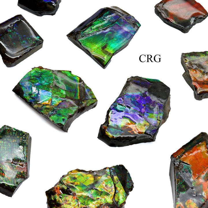 Fire Ammolite Fossil (Size 1 To 2 Inches) (1 Piece) Hand Carved Polished Gemstone DecorCrystal River Gems