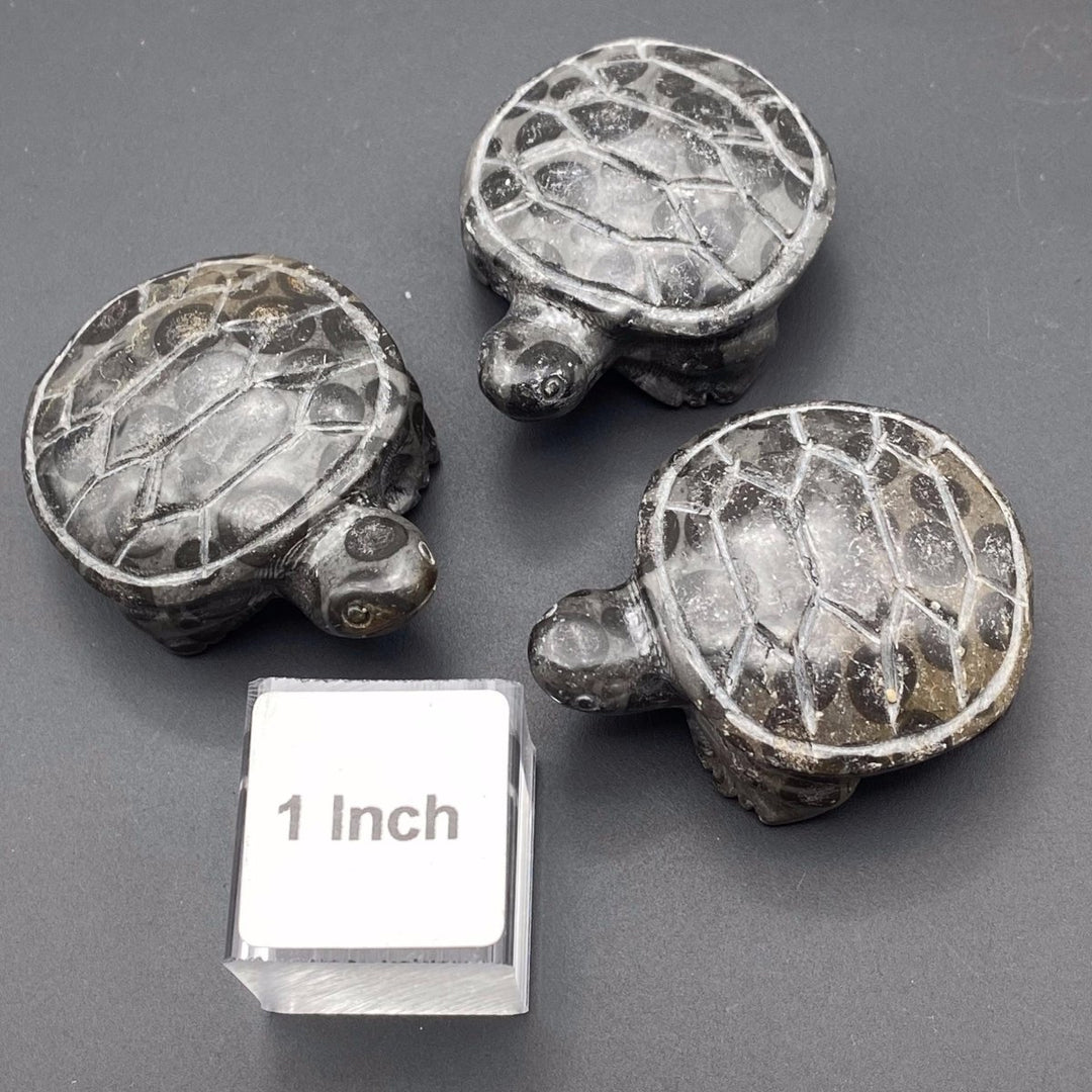 Fossil Stone Mini Turtle Figurine Animal CarvingCrystal River Gems