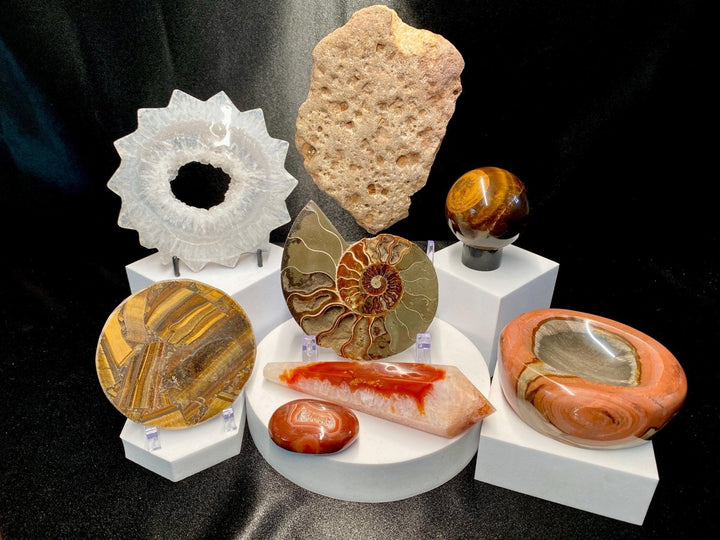 Fossils and Crystals Bundle Lot (8 Pieces) Bulk Wholesale Gemstone Décor CollectionCrystal River Gems