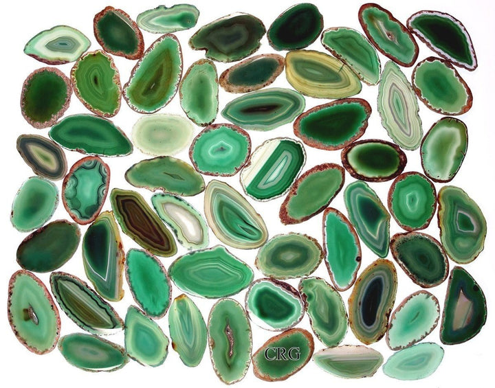 Green Agate Slice (Size #00) (1.5 to 2.5 inches) Grade A Brazilian Agate Geode Slice Wholesale CrystalsCrystal River Gems
