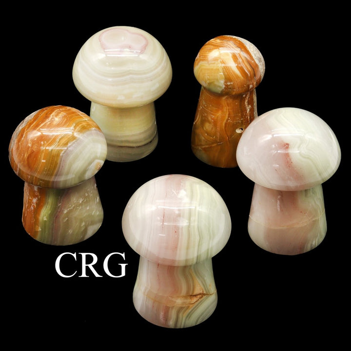 Green Banded Onyx Mushrooms (2 Kilograms) Mixed Sizes Crystal Gemstone ShapesCrystal River Gems