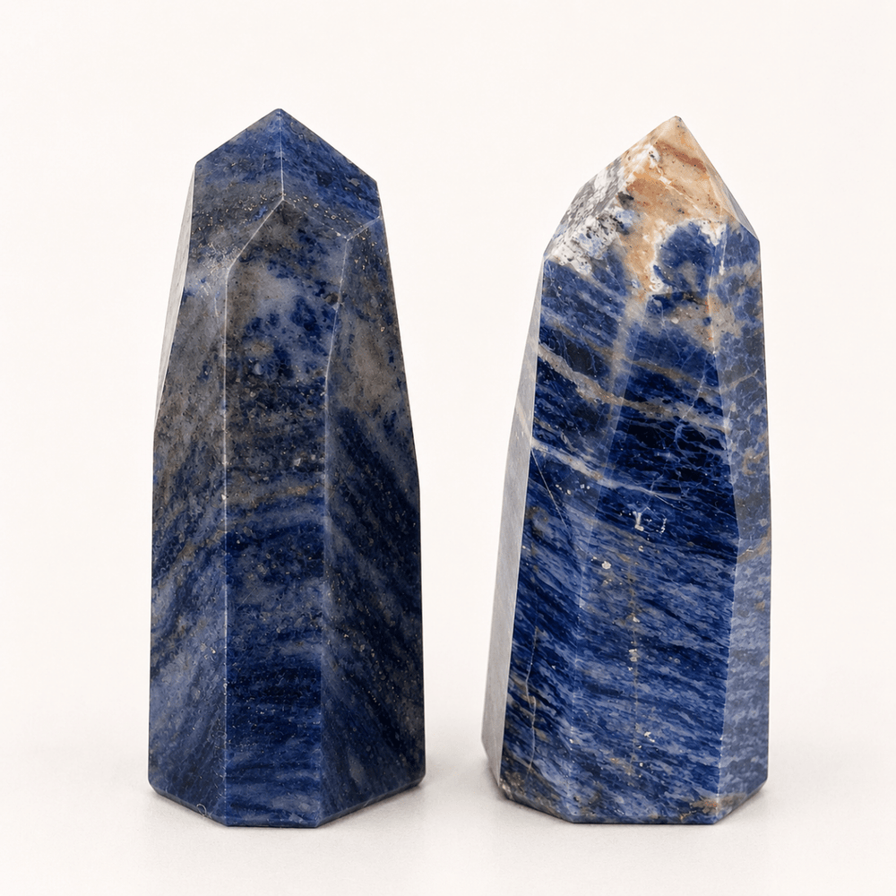Hand - Carved Sodalite Freeform (Set of 2)Crystal River Gems