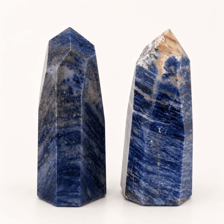 Hand - Carved Sodalite Freeform (Set of 2)Crystal River Gems