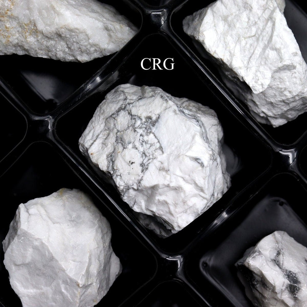 Howlite Rough Flat (24 Pieces) Size 1.5 to 1.75 Inches Bulk Wholesale Lot Crystal Gemstone MineralsCrystal River Gems