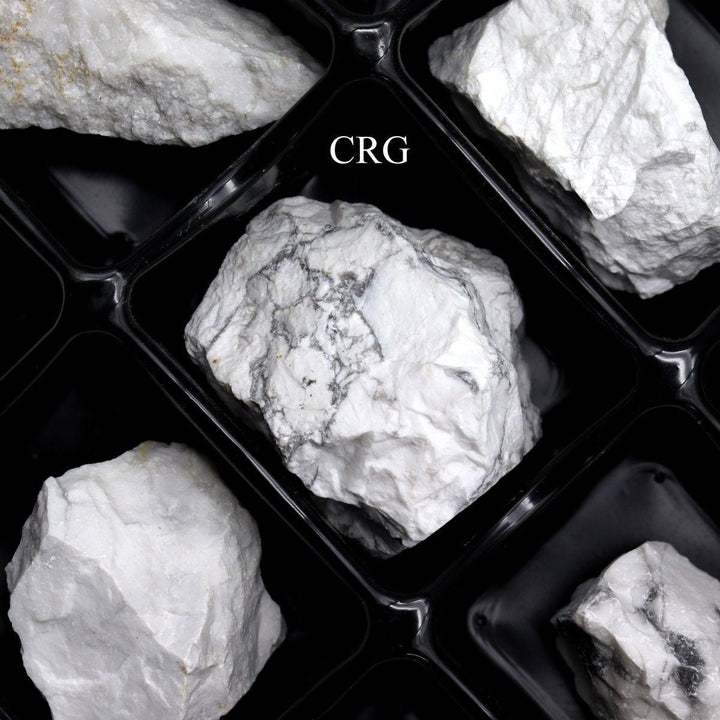 Howlite Rough Flat (24 Pieces) Size 1.5 to 1.75 Inches Bulk Wholesale Lot Crystal Gemstone MineralsCrystal River Gems