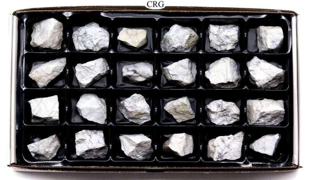 Howlite Rough Flat (24 Pieces) Size 1.5 to 1.75 Inches Bulk Wholesale Lot Crystal Gemstone MineralsCrystal River Gems