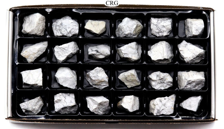 Howlite Rough Flat (24 Pieces) Size 1.5 to 1.75 Inches Bulk Wholesale Lot Crystal Gemstone MineralsCrystal River Gems