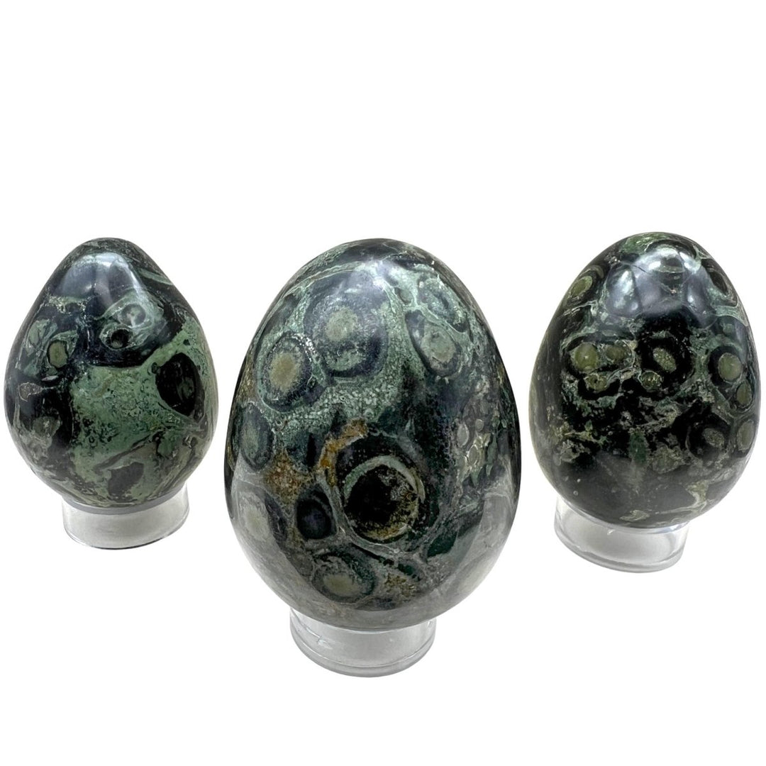 Kambaba Jasper Eggs (1 Piece)Crystal River Gems