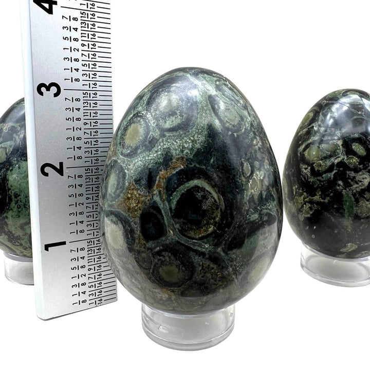 Kambaba Jasper Eggs (1 Piece)Crystal River Gems