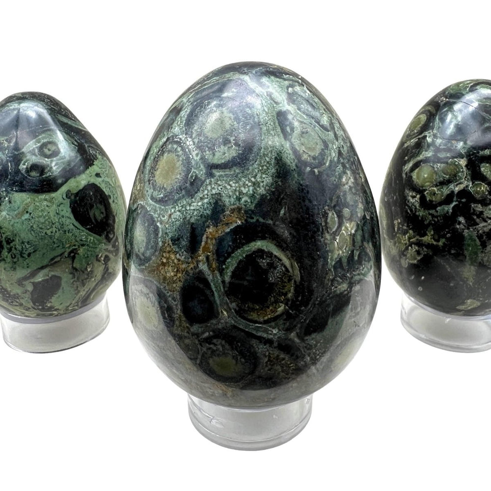 Kambaba Jasper Eggs (1 Piece)Crystal River Gems