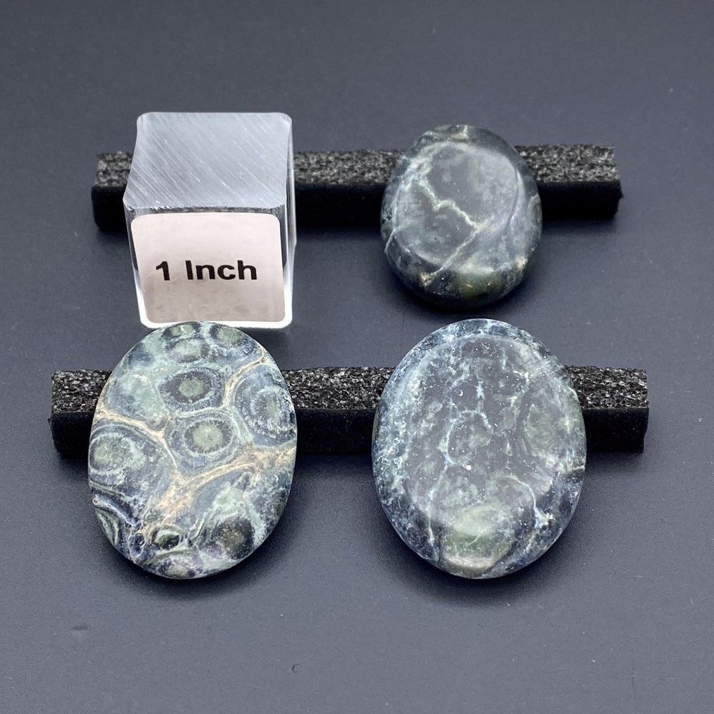 Kambaba Jasper Polished CabochonsCrystal River Gems