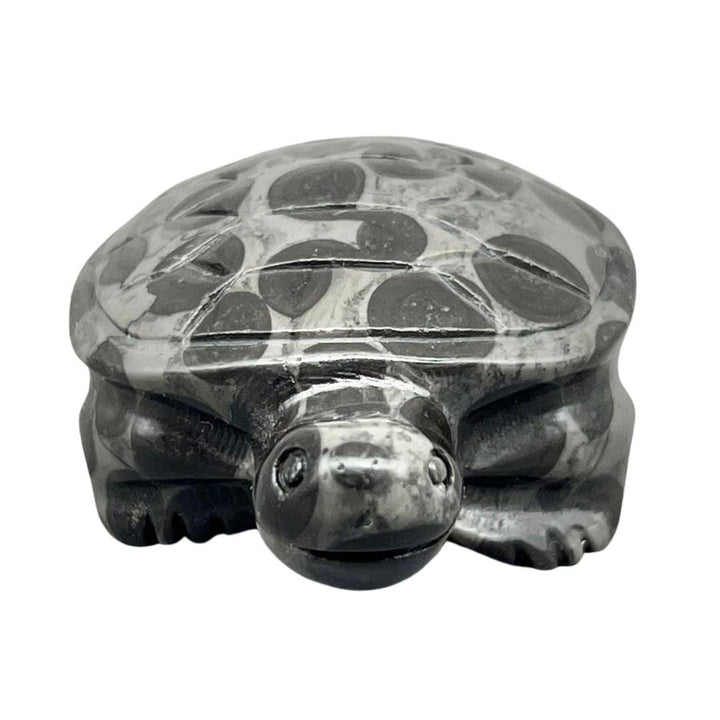 Kambaba Jasper Turtle Carving (1 Piece)Crystal River Gems