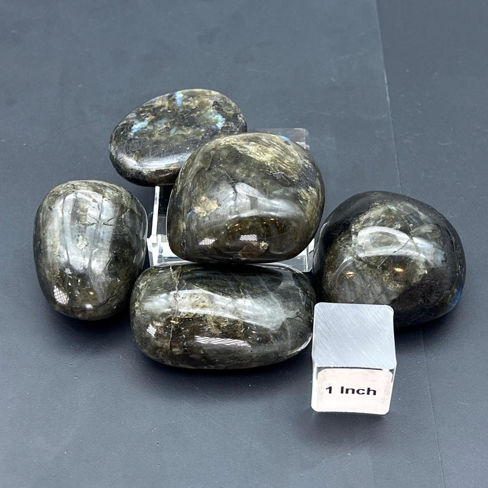 Labradorite Polished Gallet Palm Stone from MadagascarCrystal River Gems