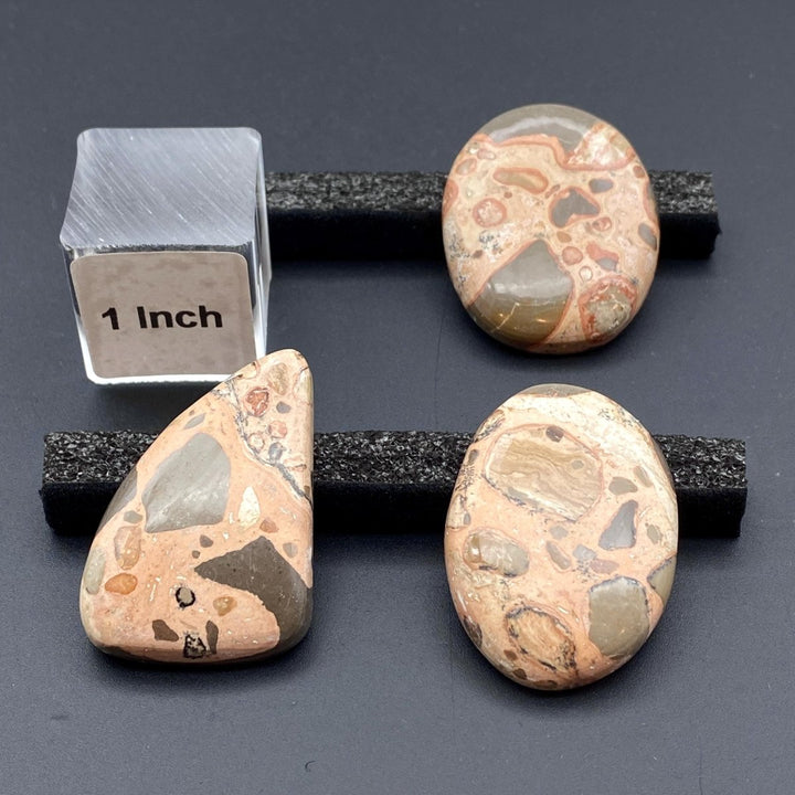 Leopard Skin Jasper Polished CabochonCrystal River Gems