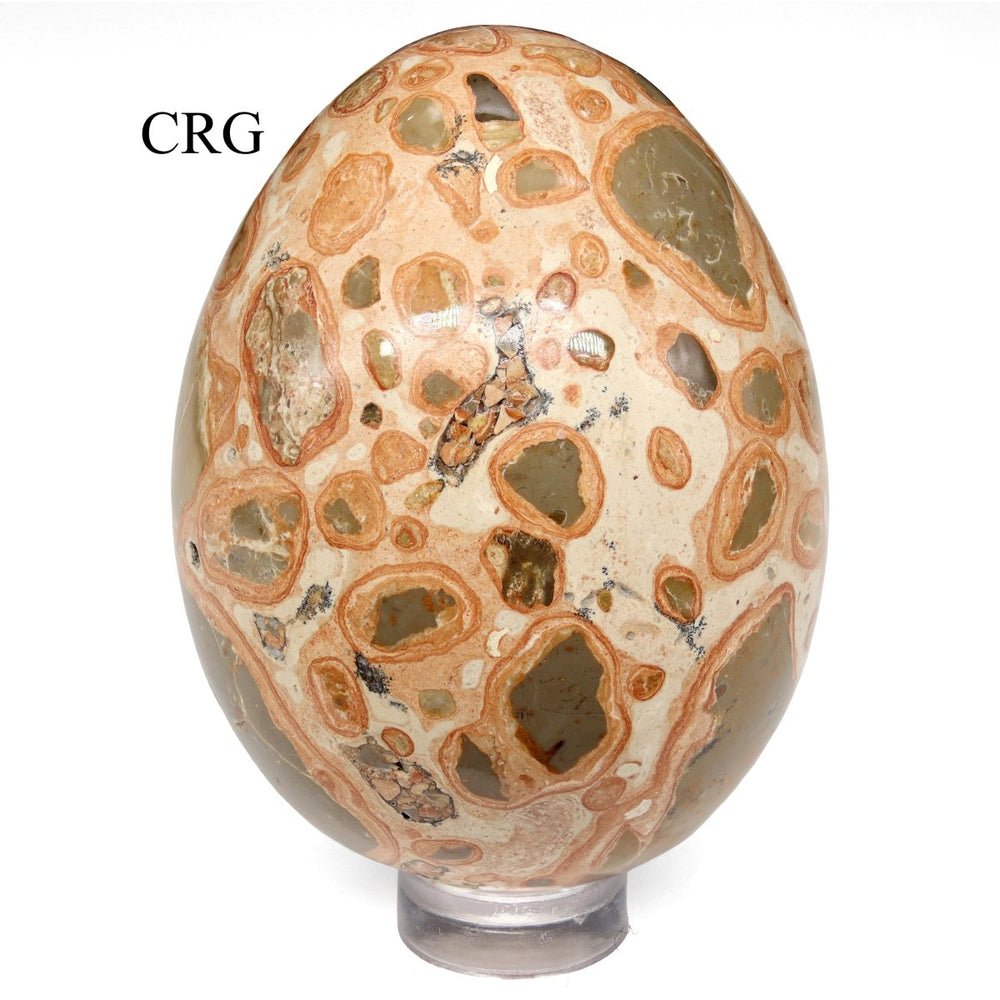 Leopardite Jasper Egg (1 Piece) Size 45 to 55 mm Polished GemstoneCrystal River Gems