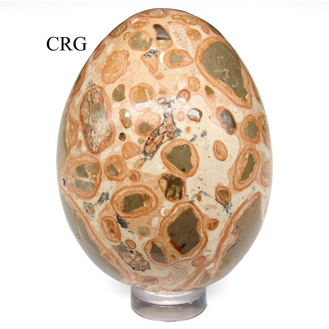 Leopardite Jasper Egg (1 Piece) Size 45 to 55 mm Polished GemstoneCrystal River Gems
