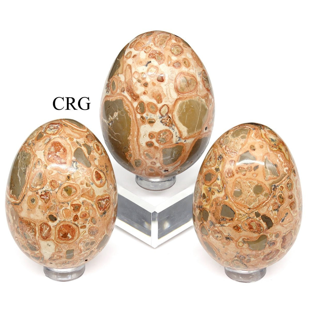 Leopardite Jasper Egg (1 Piece) Size 45 to 55 mm Polished GemstoneCrystal River Gems