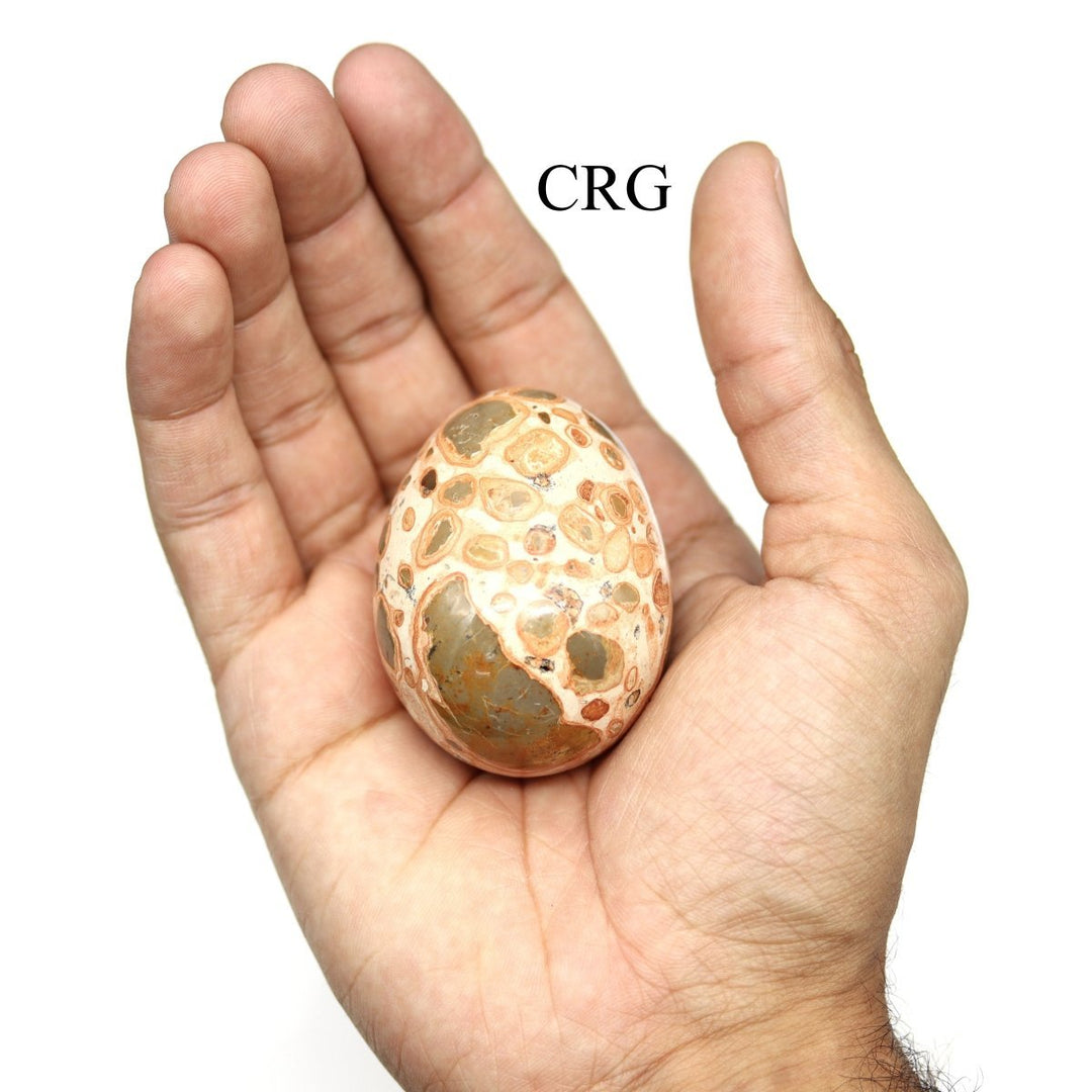Leopardite Jasper Egg (1 Piece) Size 45 to 55 mm Polished GemstoneCrystal River Gems