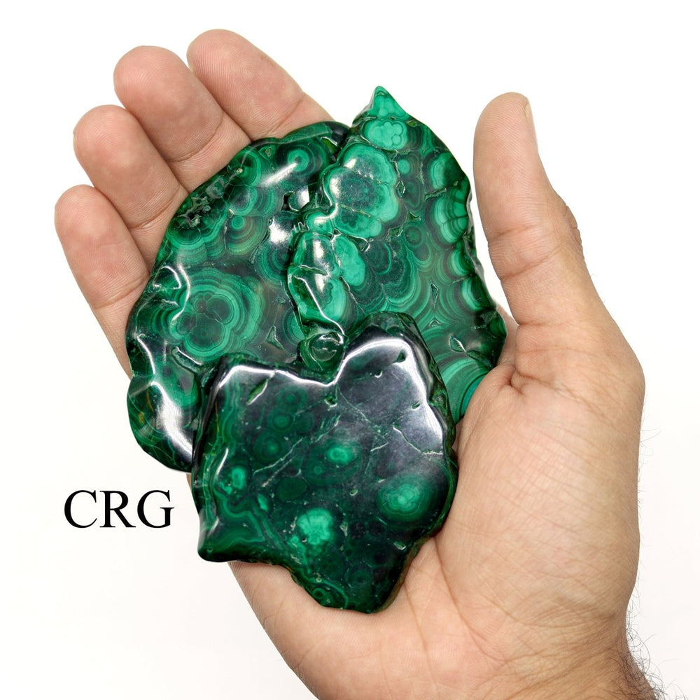 Malachite Slice (1 Piece) Size 3 to 4 Inches Polished Crystal Gemstone Slab