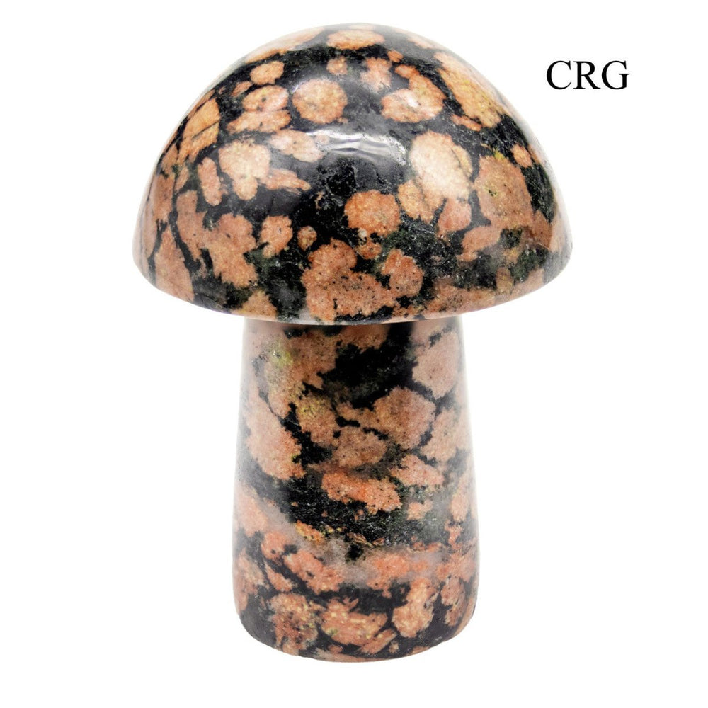 Mushroom Gemstones (4 Pieces) Size 1 to 2 Inches Crystal Gemstone ShapesCrystal River Gems